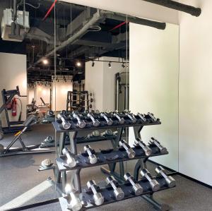 O centro de fitness e/ou as comodidades de fitness de Silhouette Suite Studio by JK