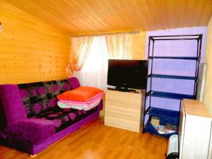 a living room with a purple couch and a tv at Domek Letniskowy nad jeziorem Głuszyńskim in Orle