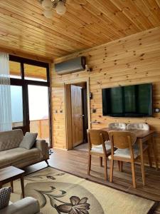 a living room with a couch and a television on a wall at Ayder Defne Suit Ev in Çamlıhemşin