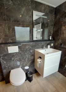 Ένα μπάνιο στο Flint Zuid-Limburg