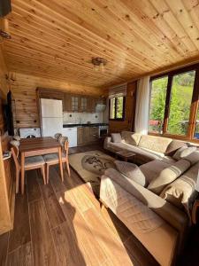 a living room with a couch and a table in a cabin at Ayder Defne Suit Ev in Çamlıhemşin