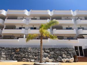 palma przed budynkiem w obiekcie Tenerife PLAYA LA ARENA w mieście Puerto de Santiago