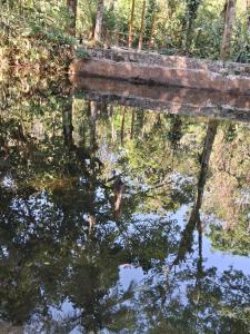 Lanskap alam di dekat rumah liburan