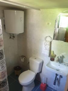 un bagno con un water bianco e un lavandino di Guesthouse Rusto a Gjirokastër