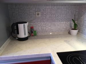 Kuchyň nebo kuchyňský kout v ubytování Apartments Corina