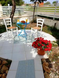 Zahrada ubytování Chalkidiki White Kallithea Apartments