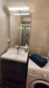 a bathroom with a sink and a mirror and a washing machine at Le Haras Ouest in Libourne