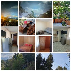 Fotografie z fotogalerie ubytování Borjomi forest v destinaci Bordžomi