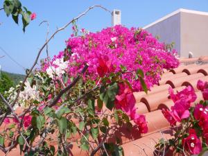 A garden outside Villa in Loutra with Sea View and Pool