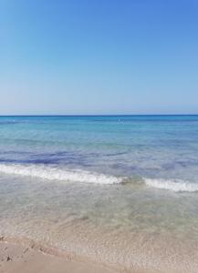 Táj Show holiday homes közelében
