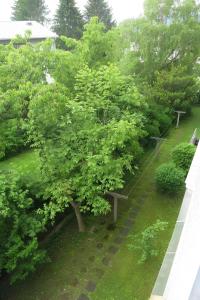 Una vista aérea de un jardín con un árbol. en NiDalia Apartment in Graz, en Graz