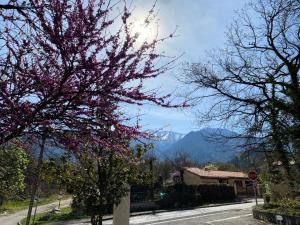 a tree with pink flowers on a street with a stop sign at Résidence Balcon Du Canigou - Joli studio dans la résidence Les Balcons du Canigou MAE-5381 in Vernet-les-Bains +3 photos