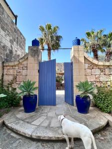 Foto sihtkohas Mġarr asuva majutusasutuse Ta Skorba Farmhouse Mgarr galeriist