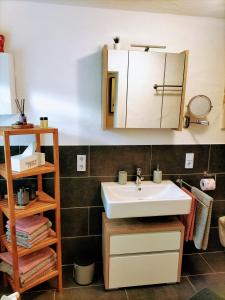 ein Badezimmer mit Waschbecken und Spiegel in der Unterkunft Ferienwohnung Schneider in Münk + 18 Fotos