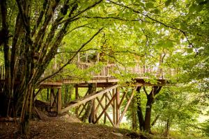 Gallery image of La Cabane de Bon Papa in Bertrix