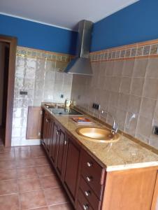 a kitchen with a sink and a counter top at Apartamentos Picos de EUROPA in Dego