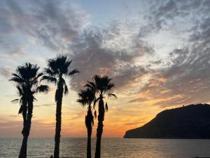 Naturlandskabet i nærheden af lejligheden