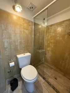 a bathroom with a toilet and a glass shower at Departamento dos habitaciones en microcentro in Mendoza +15 photos
