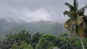 Příroda nedaleko ubytování v soukromí