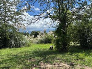 a bench sitting under a tree in a field at Arrullo del viento in Villa Yacanto