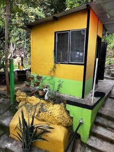 Foto sihtkohas Boquerón de Capira asuva majutusasutuse Finca Peñitas galeriist