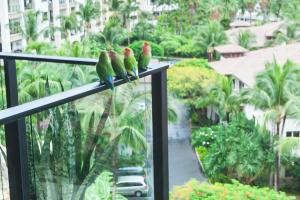 Garður fyrir utan Panoramic Ocean Views At Wailea Beach Villas M511!