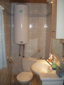 a bathroom with a toilet and a sink at Bungalov Mladé Buky in Mladé Buky