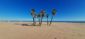 vier Palmen an einem Strand mit Fußspuren im Sand in der Unterkunft Sunrise Beach Apartment Playa Puerto de Sagunto in Puerto de Sagunto