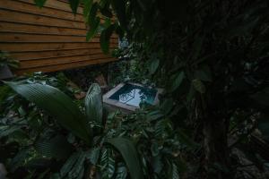 Φωτογραφία από το άλμπουμ του Kafen Hotel σε Juayúa