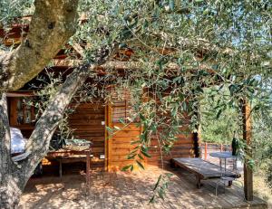 Zahrada ubytování Poggio Alla Pieve Relais