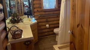 a bathroom with a sink and a toilet in a cabin at Cabin near Bisbee and Sierra Vista AZ on 40 Acres in Bisbee