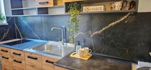 Η κουζίνα ή μικρή κουζίνα στο Apartment Merlin Mostar +63 φωτογραφίες