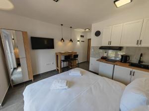 Ảnh trong thư viện ảnh của Apartman Holiday 2 ở Veliko Gradište +19 ảnh