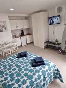 Kuchyň nebo kuchyňský kout v ubytování Apartamentos ZANCA CITY CENTER free luggage storage + 33 fotografií