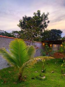 Zahrada ubytování casa rural Bon Tempo