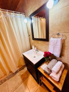 une salle de bain avec un lavabo et un miroir dans l'établissement Alojamiento Santa Rita, à Santo Tomé