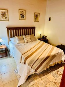 une chambre avec un grand lit dans une pièce dans l'établissement Alojamiento Santa Rita, à Santo Tomé