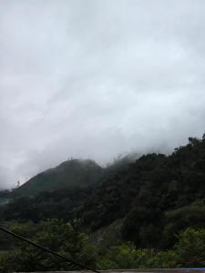 山林小屋周边自然景观