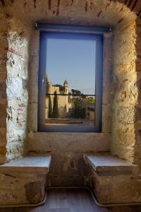 赫罗纳AS Palau dels Alemanys Suites Boutique Monument的相册照片