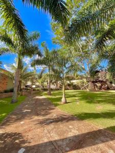 a park with palm trees and a dirt road at Chácara Renil in Olímpia