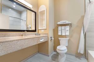 Un baño con inodoro, lavabo y espejo. en Best Western Hebbronville Inn, en Hebbronville 17 fotos más