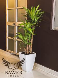 Fotografie z fotogalerie ubytování Hotel BAWER v Arauce
