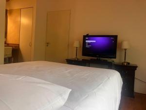 a bedroom with a bed and a flat screen tv at Granero Chacras in Ciudad Lujan de Cuyo