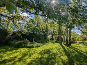 a lawn with trees and flowers in a yard at Chambres d'hôtes avec jardin près des châteaux de la Loire - FR-1-591-666 in Châtillon-sur-Indre