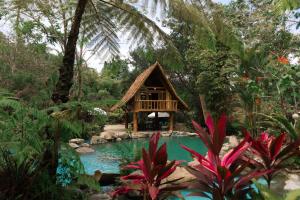a house in the middle of a pool in a forest at Forest Camp in Valencia