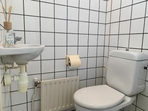 シント・マールテンスゼーにあるBungalow Sint Maartenszee near Sandy Beachのトイレと洗面台を備えた白いバスルーム