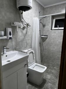 a bathroom with a shower and a toilet and a sink at Eco Village Lodge in Dzhetyoguz +47 photos