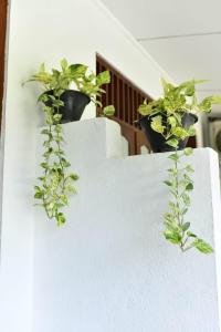 Fotografie z fotogalerie ubytování Ranketha Hideout Resorts v destinaci Kurunegala