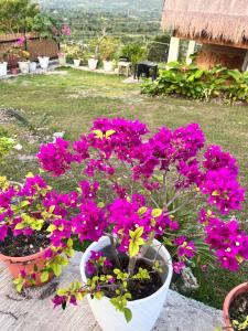 Um jardim no exterior de Sondela Lambug Room2 w pool mountain seaview
