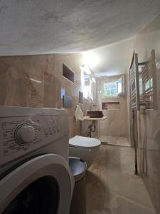 a bathroom with a washing machine and a toilet at Tamarisk House-An Ideal Getaway in Southern Paros in Márpissa